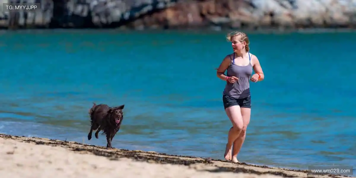 实时互动，弹幕狂欢！💬